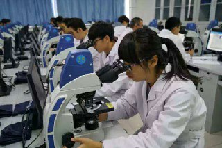 重庆市公办的中医药专业学校有哪些